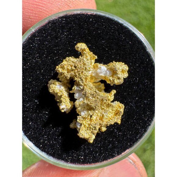 California Native Gold Crystal - 1.57 grams - Picture 3 of 5